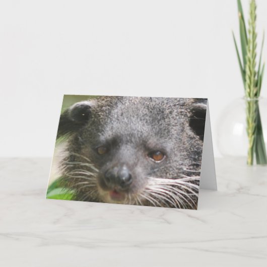 Barkatkarte Karte (Vorderseite)