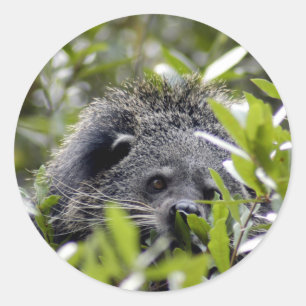 Barkatkleber Runder Aufkleber