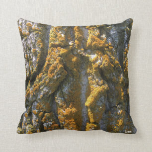 BARKE MIT MOOS - KISSEN