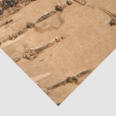 Barke Seidenpapier (Detail)