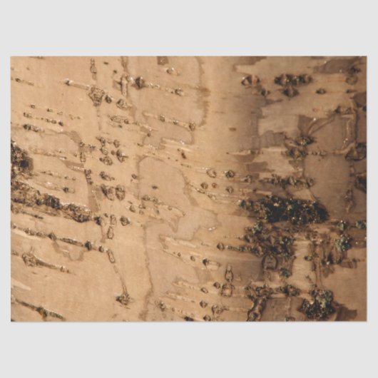 Barke Seidenpapier (Vorderseite)