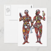 Barkeeper Anatomie (männlich & weiblich) Postkarte (Vorne/Hinten)
