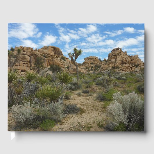 Barker Dam Loop Trail im Joshua-Tree-Nationalpark Gästebuch (Vorderseite)