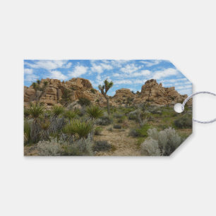 Barker Dam Loop Trail im Joshua-Tree-Nationalpark Geschenkanhänger