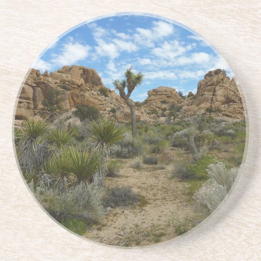 Barker Dam Loop Trail im Joshua-Tree-Nationalpark Getränkeuntersetzer (Vorne)