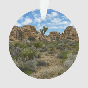 Barker Dam Loop Trail im Joshua-Tree-Nationalpark Ornament