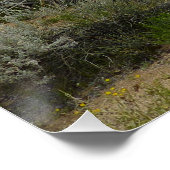 Barker Dam Loop Trail im Joshua-Tree-Nationalpark Poster (Ecke)