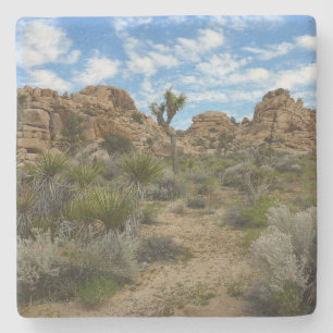 Barker Dam Loop Trail im Joshua-Tree-Nationalpark Steinuntersetzer