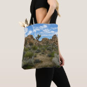 Barker Dam Loop Trail im Joshua-Tree-Nationalpark Tasche (Von Nahem)