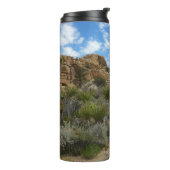 Barker Dam Loop Trail im Joshua-Tree-Nationalpark Thermosbecher (Nach links gedreht)