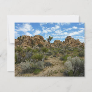 Barker Dam Loop Wandern im Joshua Tree Nationalpar