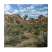 Barker Dam Loop Wandern im Joshua Tree Nationalpar Fliese (Vorderseite)