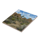 Barker Dam Loop Wandern im Joshua Tree Nationalpar Fliese (Seite)