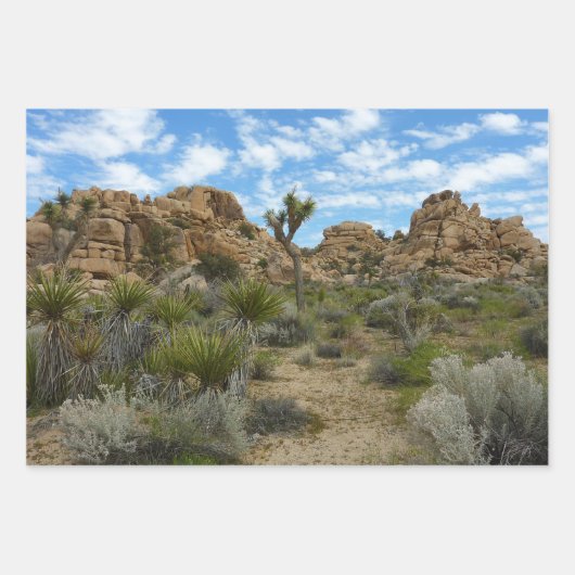Barker Dam Loop Wandern im Joshua Tree Nationalpar Geschenkpapier Set (Vorderseite)