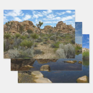 Barker Dam Loop Wandern im Joshua Tree Nationalpar Geschenkpapier Set