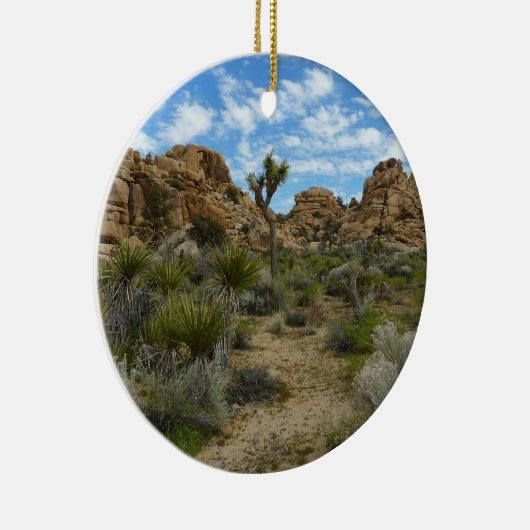 Barker Dam Loop Wandern im Joshua Tree Nationalpar Keramikornament (Rechts)