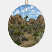 Barker Dam Loop Wandern im Joshua Tree Nationalpar Keramikornament (Links)