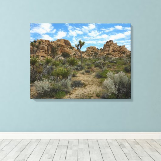 Barker Dam Loop Wandern im Joshua Tree Nationalpar Leinwanddruck (Insitu (Holzboden))