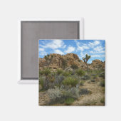 Barker Dam Loop Wandern im Joshua Tree Nationalpar Magnet (Vorderseite/Rückseite)