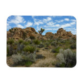 Barker Dam Loop Wandern im Joshua Tree Nationalpar Magnet (Horizontal)