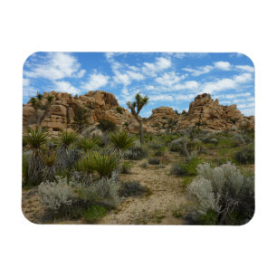 Barker Dam Loop Wandern im Joshua Tree Nationalpar Magnet