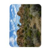 Barker Dam Loop Wandern im Joshua Tree Nationalpar Magnet (Vertikal)