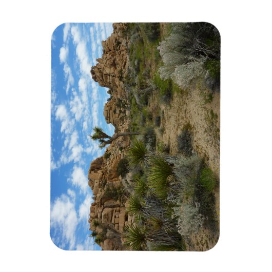 Barker Dam Loop Wandern im Joshua Tree Nationalpar Magnet (Vertikal)