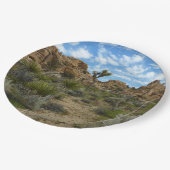 Barker Dam Loop Wandern im Joshua Tree Nationalpar Pappteller (Schrägansicht)