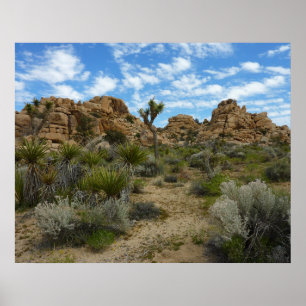 Barker Dam Loop Wandern im Joshua Tree Nationalpar Poster