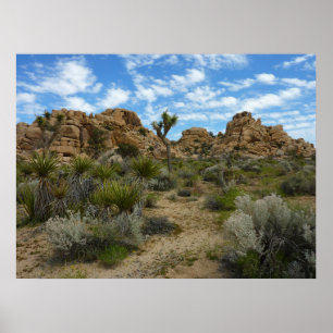 Barker Dam Loop Wandern im Joshua Tree Nationalpar Poster