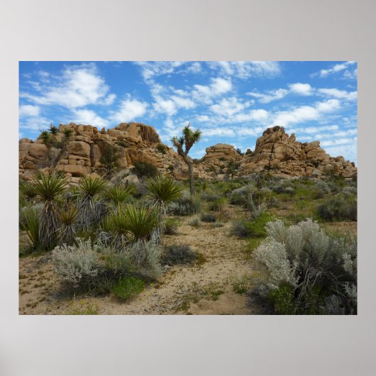 Barker Dam Loop Wandern im Joshua Tree Nationalpar Poster (Vorne)