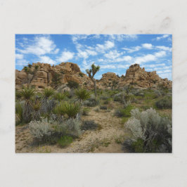 Barker Dam Loop Wandern im Joshua Tree Nationalpar Postkarte