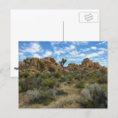 Barker Dam Loop Wandern im Joshua Tree Nationalpar Postkarte (Vorne/Hinten)