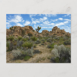 Barker Dam Loop Wandern im Joshua Tree Nationalpar Postkarte