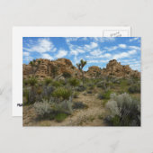 Barker Dam Loop Wandern im Joshua Tree Nationalpar Postkarte (Vorne/Hinten)