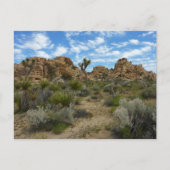 Barker Dam Loop Wandern im Joshua Tree Nationalpar Postkarte (Vorderseite)