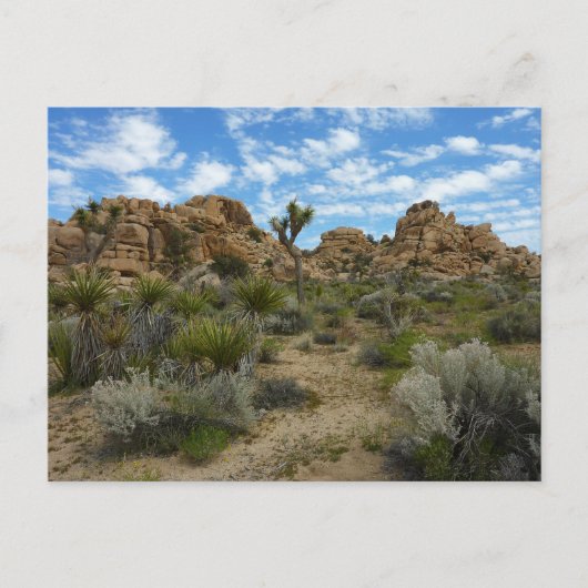 Barker Dam Loop Wandern im Joshua Tree Nationalpar Postkarte (Vorderseite)