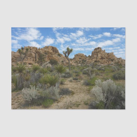 Barker Dam Loop Wandern im Joshua Tree Nationalpar Seidenpapier (Vorderseite)