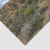 Barker Dam Loop Wandern im Joshua Tree Nationalpar Seidenpapier (Ausschnitt)