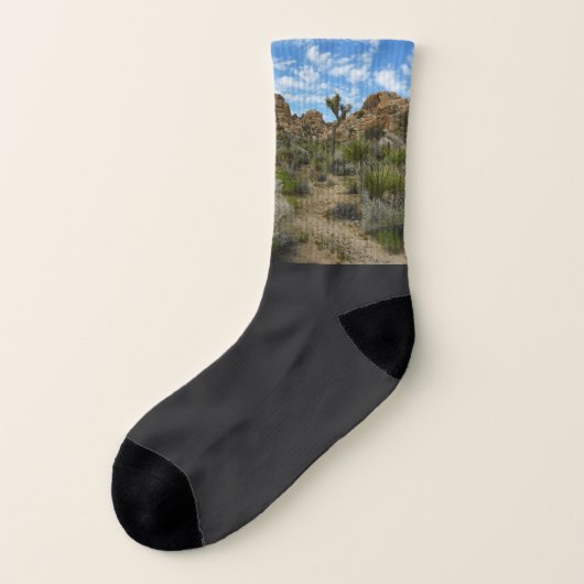 Barker Dam Loop Wandern im Joshua Tree Nationalpar Socken (Links - Außen)