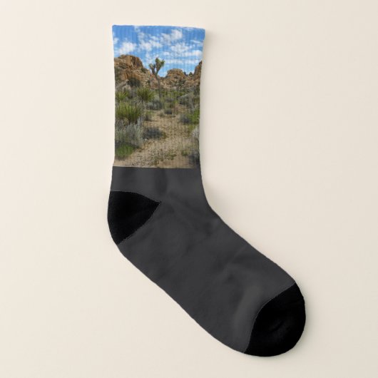 Barker Dam Loop Wandern im Joshua Tree Nationalpar Socken (Rechts - Außen)