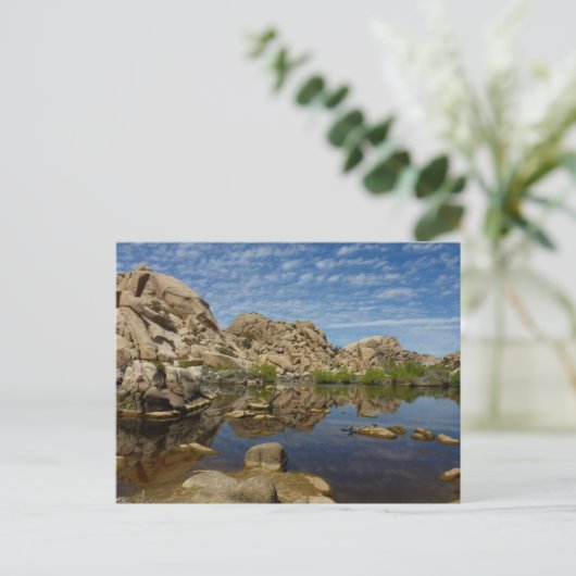 Barker Dam Reflection bei Joshua Tree I Postkarte (Stehend Vorderseite)