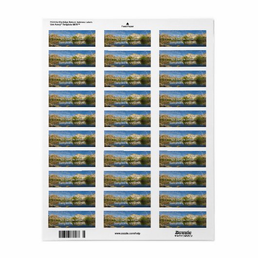 Barker Dam Reflection bei Joshua Tree II (Vorne)