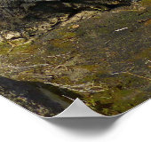 Barker Dam Reflection bei Joshua Tree II Poster (Ecke)