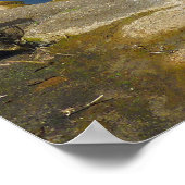Barker Dam Reflection bei Joshua Tree II Poster (Ecke)