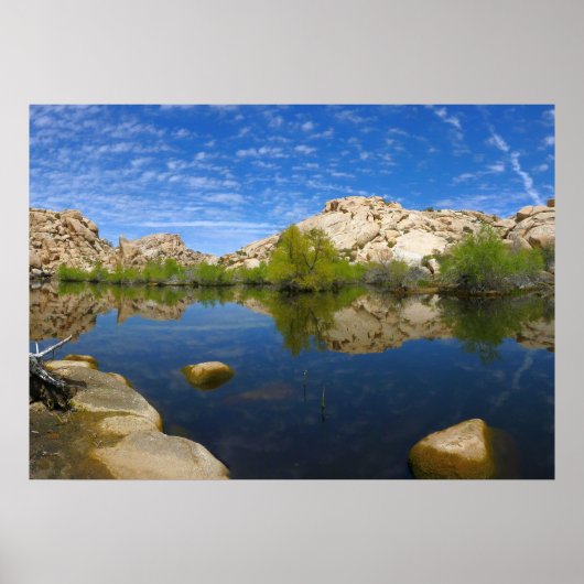 Barker Dam Reflection bei Joshua Tree II Poster (Vorne)
