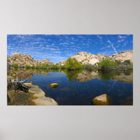 Barker Dam Reflection bei Joshua Tree II Poster (Vorne)