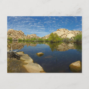 Barker Dam Reflection bei Joshua Tree II Postkarte
