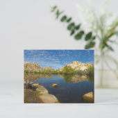 Barker Dam Reflection bei Joshua Tree II Postkarte (Stehend Vorderseite)