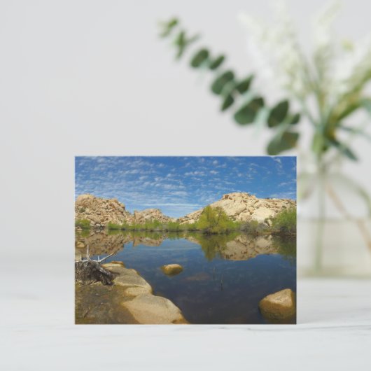 Barker Dam Reflection bei Joshua Tree II Postkarte (Stehend Vorderseite)
